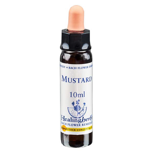 21 Mustard 10ml HealingHerbs