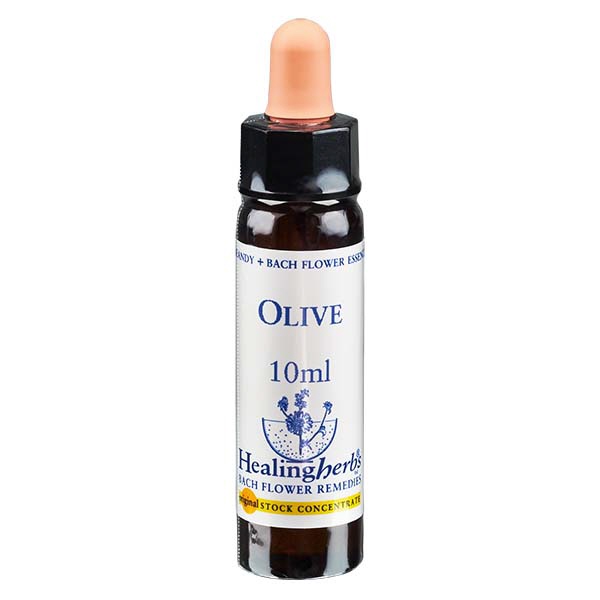 23 Olive 10ml HealingHerbs